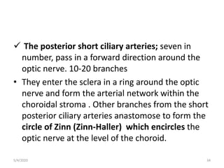  The posterior short ciliary arteries; seven in
number, pass in a forward direction around the
optic nerve. 10-20 branches
• They enter the sclera in a ring around the optic
nerve and form the arterial network within the
choroidal stroma . Other branches from the short
posterior ciliary arteries anastomose to form the
circle of Zinn (Zinn-Haller) which encircles the
optic nerve at the level of the choroid.
5/4/2020 34
 
