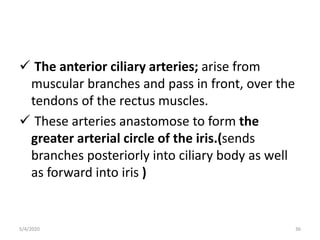  The anterior ciliary arteries; arise from
muscular branches and pass in front, over the
tendons of the rectus muscles.
 These arteries anastomose to form the
greater arterial circle of the iris.(sends
branches posteriorly into ciliary body as well
as forward into iris )
5/4/2020 36
 