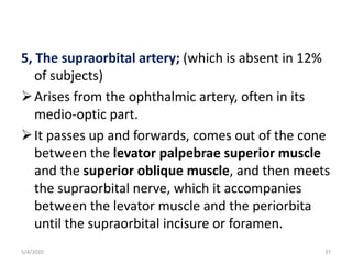 5, The supraorbital artery; (which is absent in 12%
of subjects)
Arises from the ophthalmic artery, often in its
medio-optic part.
It passes up and forwards, comes out of the cone
between the levator palpebrae superior muscle
and the superior oblique muscle, and then meets
the supraorbital nerve, which it accompanies
between the levator muscle and the periorbita
until the supraorbital incisure or foramen.
5/4/2020 37
 