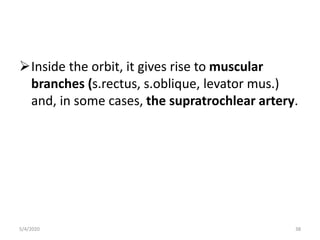 Inside the orbit, it gives rise to muscular
branches (s.rectus, s.oblique, levator mus.)
and, in some cases, the supratrochlear artery.
5/4/2020 38
 