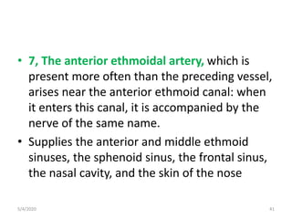 • 7, The anterior ethmoidal artery, which is
present more often than the preceding vessel,
arises near the anterior ethmoid canal: when
it enters this canal, it is accompanied by the
nerve of the same name.
• Supplies the anterior and middle ethmoid
sinuses, the sphenoid sinus, the frontal sinus,
the nasal cavity, and the skin of the nose
5/4/2020 41
 