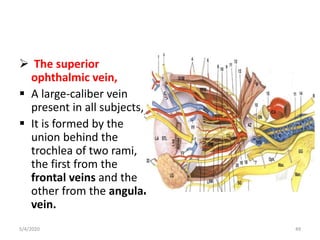  The superior
ophthalmic vein,
 A large-caliber vein
present in all subjects,
 It is formed by the
union behind the
trochlea of two rami,
the first from the
frontal veins and the
other from the angular
vein.
5/4/2020 49
 