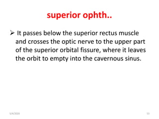 superior ophth..
 It passes below the superior rectus muscle
and crosses the optic nerve to the upper part
of the superior orbital fissure, where it leaves
the orbit to empty into the cavernous sinus.
5/4/2020 53
 