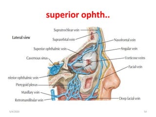 superior ophth..
5/4/2020 54
 
