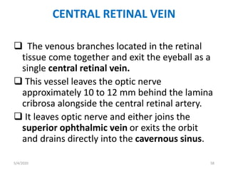 CENTRAL RETINAL VEIN
 The venous branches located in the retinal
tissue come together and exit the eyeball as a
single central retinal vein.
 This vessel leaves the optic nerve
approximately 10 to 12 mm behind the lamina
cribrosa alongside the central retinal artery.
 It leaves optic nerve and either joins the
superior ophthalmic vein or exits the orbit
and drains directly into the cavernous sinus.
5/4/2020 58
 