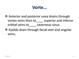 Vorte…
 Anterior and posterior uvea drains through
vortex veins then to____ superior and inferior
orbital veins to____ cavernous sinus.
 Eyelids drain through facial vein and angular
veins.
5/4/2020 62
 