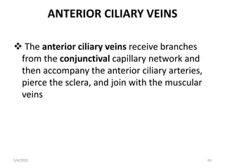 ANTERIOR CILIARY VEINS
 The anterior ciliary veins receive branches
from the conjunctival capillary network and
then accompany the anterior ciliary arteries,
pierce the sclera, and join with the muscular
veins
5/4/2020 63
 