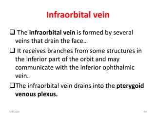 Infraorbital vein
 The infraorbital vein is formed by several
veins that drain the face..
 It receives branches from some structures in
the inferior part of the orbit and may
communicate with the inferior ophthalmic
vein.
The infraorbital vein drains into the pterygoid
venous plexus.
5/4/2020 64
 