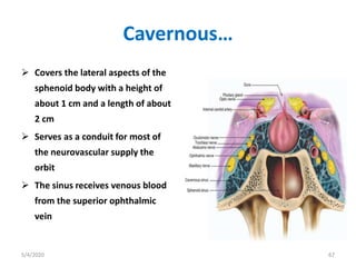 Cavernous…
 Covers the lateral aspects of the
sphenoid body with a height of
about 1 cm and a length of about
2 cm
 Serves as a conduit for most of
the neurovascular supply the
orbit
 The sinus receives venous blood
from the superior ophthalmic
vein
5/4/2020 67
 