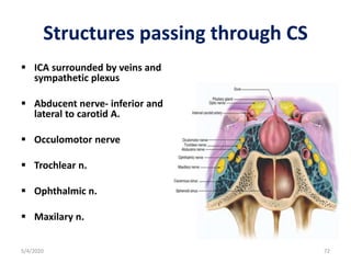 Structures passing through CS
 ICA surrounded by veins and
sympathetic plexus
 Abducent nerve- inferior and
lateral to carotid A.
 Occulomotor nerve
 Trochlear n.
 Ophthalmic n.
 Maxilary n.
5/4/2020 72
 