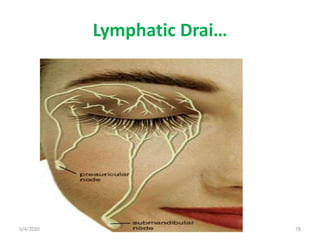 Lymphatic Drai…
5/4/2020 78
 