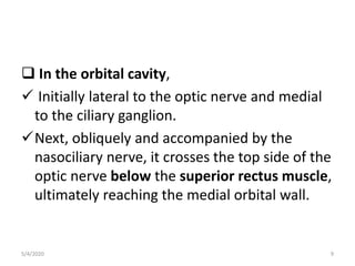  In the orbital cavity,
 Initially lateral to the optic nerve and medial
to the ciliary ganglion.
Next, obliquely and accompanied by the
nasociliary nerve, it crosses the top side of the
optic nerve below the superior rectus muscle,
ultimately reaching the medial orbital wall.
5/4/2020 9
 