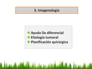 3. Imagenología
Ayuda Dx diferencial
Etiología tumoral
Planificación quirúrgica
 
