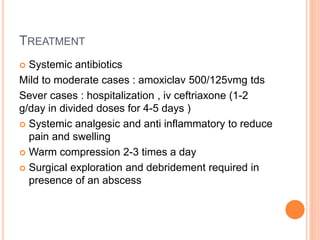 TREATMENT
 Systemic antibiotics
Mild to moderate cases : amoxiclav 500/125vmg tds
Sever cases : hospitalization , iv ceftriaxone (1-2
g/day in divided doses for 4-5 days )
 Systemic analgesic and anti inflammatory to reduce
pain and swelling
 Warm compression 2-3 times a day
 Surgical exploration and debridement required in
presence of an abscess
 