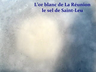 L’or blanc de La Réunion
le sel de Saint-Leu
 