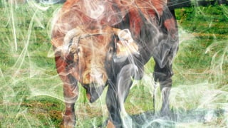 Be Bold and Create Great Online Content