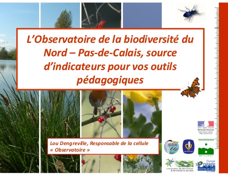 Occasion petite annonce rencontres rencontres diverses