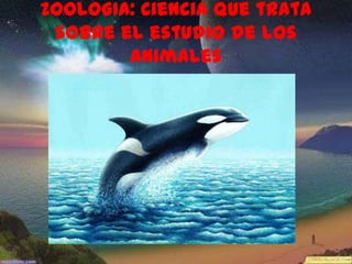 ZOOLOGIA: Ciencia que trata
 sobre el estudio de los
        animales
 