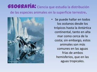 GEOGRAFÍA: Ciencia que estudia la distribución
 de las especies animales en la superficie terrestre.
                            • Se puede hallar en todos
                                 los océanos desde los
                              trópicos hasta la Antártica
                               continental, tanto en alta
                                 mar como cerca de la
                               costa; sin embargo, estos
                                   animales son más
                                 comunes en las aguas
                                     frías de ambos
                                hemisferios, que en las
                                    aguas tropicales.
 