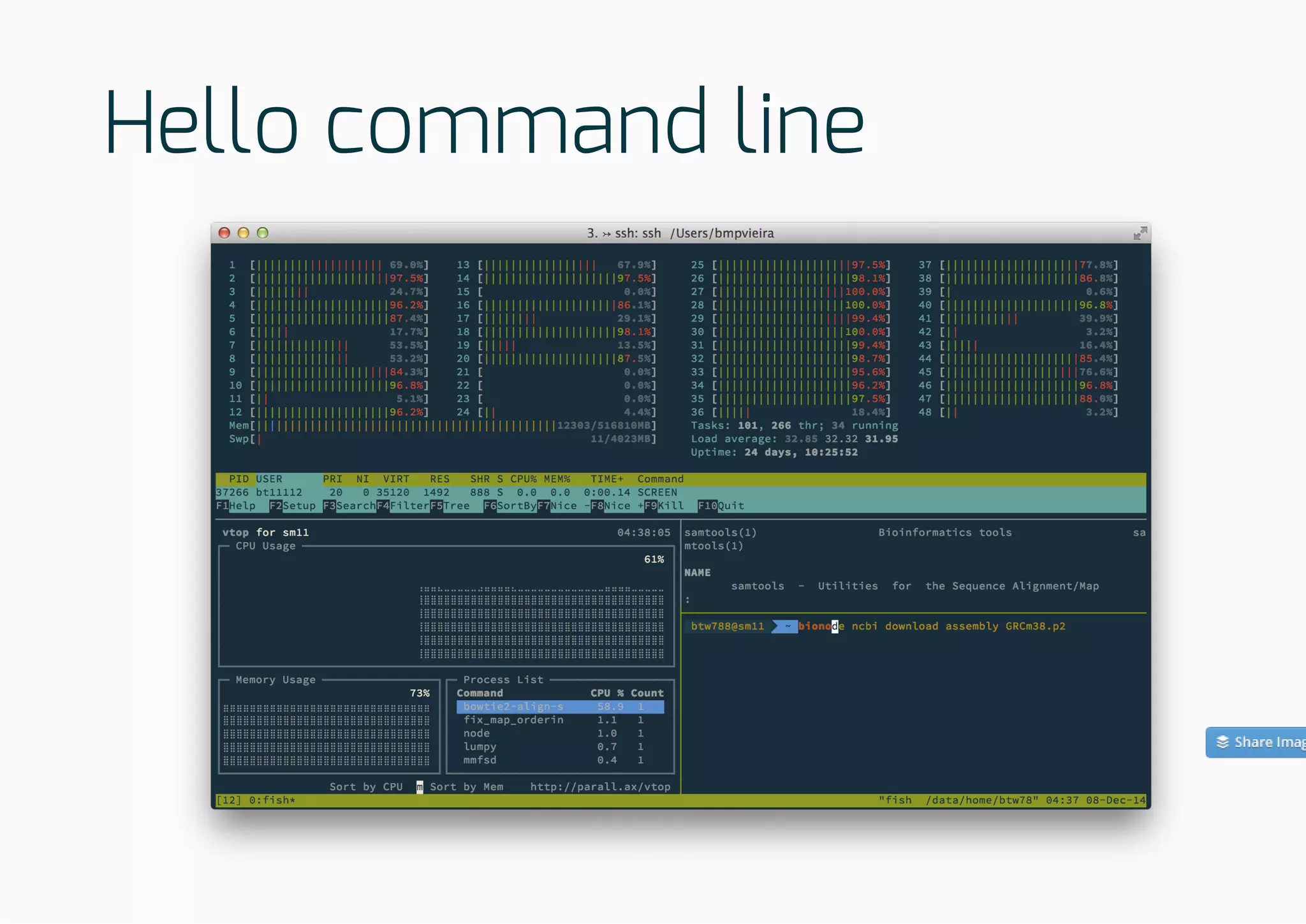 Hello command line
 