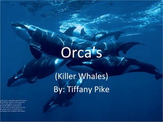 Orca’s
(Killer Whales)
By: Tiffany Pike
 