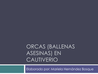ORCAS (BALLENAS
ASESINAS) EN
CAUTIVERIO
Elaborado por: Mariela Hernández Bosque
 