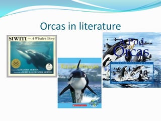 Orcas in literature
 