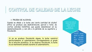 16
Cuando se añade a la leche una cierta cantidad de alcohol
etílico se produce una deshidratación, parcial o total, de
ciertos coloides hidrófilos, que puede desembocar en su
desnaturalización, y con ello a la pérdida de su equilibrio y
floculación.
 PRUEBA DE ALCOHOL
Una vez
cerrado
invertir varias
veces el tubo
de ensayo
para permitir
una buena
homogenizaci
ón de la
muestra.
Poner en dos tubos de
ensayo 2 mL de leche
y añadir 4 mL de
alcohol a 68° y de
alcohol 72°,
respectivamente.
Si no se produce floculación alguna, la leche resistirá
perfectamente el calentamiento correspondiente al grado
de la solución alcohólica. Si se observa floculación, la leche
no se mantendrá estable durante el calentamiento.
 