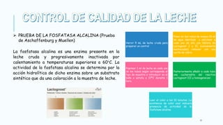 17
 PRUEBA DE LA FOSFATASA ALCALINA (Prueba
de Aschaffenburg y Muellen)
La fosfatasa alcalina es una enzima presente en la
leche cruda y progresivamente inactivada por
calentamiento a temperaturas superiores a 60°C. La
actividad de la fosfatasa alcalina se determina por la
acción hidrolítica de dicho enzima sobre un substrato
sintético que da una coloración a la muestra de leche.
Hervir 5 mL de leche cruda para
preparar un control
Poner en dos tubos de ensayo 10 ml
de agua destilada y adicionar a
cada uno de ello una tableta de
Lactognost I y II. (conveniente
machacadas) remover con una
varilla de vidrio.
Pipetear 1 ml de leche en cada uno
de los tubos según corresponda el
tipo de muestra e introducir en el
baño o estufa a 37ºC durante 1
hora.
Posteriormente añadir a cada tubo
una cucharadita del reactivo
Lactognost III y homogeneizar.
Leer el color a los 10 minutos. La
existencia de color azul indicará
presencia de actividad de la
fosfatasa alcalina.
 