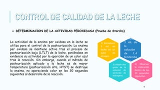 18
 DETERMINACION DE LA ACTIVIDAD PEROXIDASA (Prueba de Storchs)
La actividad de la enzima per oxidasa en la leche se
utiliza para el control de la pasteurización. La enzima
per oxidasa se mantiene activa tras el proceso de
pasteurización baja (LTLT) de la leche, poniéndose en
evidencia su actividad por la aparición de un color azul
tras la reacción. Sin embargo, cuando el método de
pasteurización aplicado a la leche es de mayor
temperatura (pasteurización alta, HTST) se destruye
la enzima, no apareciendo color en los 30 segundos
siguientes al desarrollo de la reacción.
2) Añadir
5 mL de
la
solución
de 1,4
fenilendia
mina.
1) Introducir
5 mL de
leche en un
tubo de
ensayo.
3) Añadir dos
gotas de la
solución de
peróxido de
hidrógeno.
4) Observar
la coloración
dentro de los
30 segundos
siguientes
 