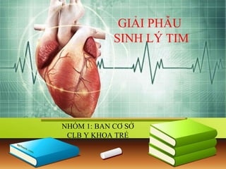 GIẢI PHẪU
SINH LÝ TIM
NHÓM 1: BAN CƠ SỞ
CLB Y KHOA TRẺ
 