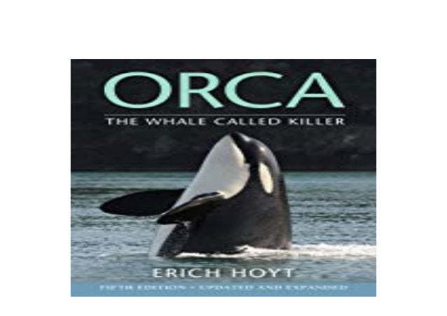Free Free Free Orca Mandala Svg 659 SVG PNG EPS DXF File