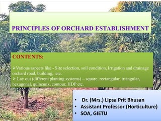 PRINCIPLES OF ORCHARD ESTABLISHMENT
CONTENTS:
Various aspects like - Site selection, soil condition, Irrigation and drainage
orchard road, building, etc.
 Lay out (different planting systems) – square, rectangular, triangular,
hexagonal, quincunx, contour, HDP etc.
• Dr. (Mrs.) Lipsa Prit Bhusan
• Assistant Professor (Horticulture)
• SOA, GIETU
 