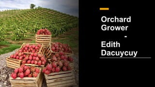 Orchard
Grower
-
Edith
Dacuycuy
 