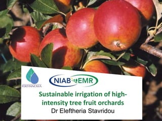 Sustainable irrigation of high-
intensity tree fruit orchards
Dr Eleftheria Stavridou
 
