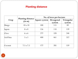Establishment of New Orchard (Mango & Banana) and its Management | PPT