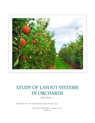 kriti singh | 18BSHORH041 | August 29, 2020
HORT 517
STUDY OF LAYOUT SYSTEMS
IN ORCHARDS
PRACTICAL – 1
SUBMITTED TO – DR. SAKET MISHRA & MR. DEEPAK LALL
 