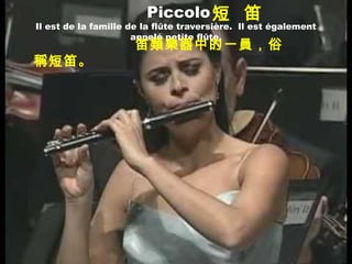 Piccolo
Il est de la famille de la flûte traversière. Il est également
appelé petite flûte.
短 笛
笛類樂器中的一員，俗
稱短笛。
 