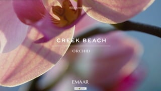 Dubai Creek Harbour
https://dxboffplan.com/properties/creek-beach-orchid-apartments/
 