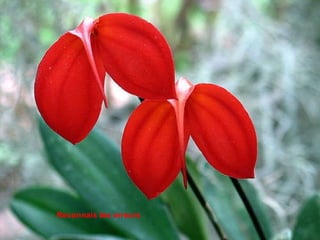 Reconnais tes erreurs  