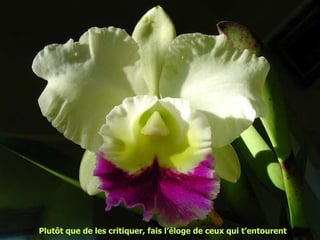 Plutôt que de les critiquer, fais l’éloge de ceux qui t’entourent 