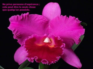 Ne prive personne d’espérance ; cela peut être la seule chose  que quelqu’un possède. 