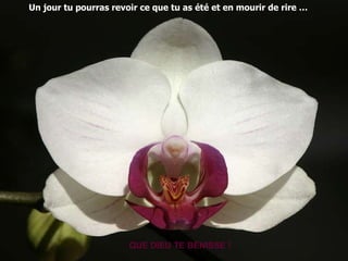 Un jour tu pourras revoir ce que tu as été et en mourir de rire … QUE DIEU TE BÉNISSE ! 