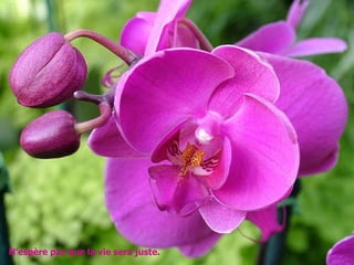 N’espère pas que la vie sera juste.  