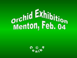 Orchid Exhibition Menton, Feb. 04 © Cenika 