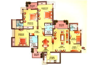 Orchid petals-brochure