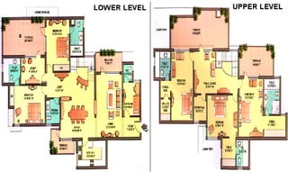 Orchid petals-brochure