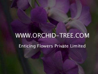 WWW.ORCHID-TREE.COM 
Enticing Flowers Private Limited 
 