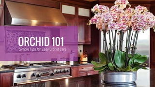 ORCHID 101Simple Tips for Easy Orchid Care
 