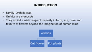 orchid cultivation.pptx